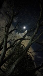 Spooky Moon