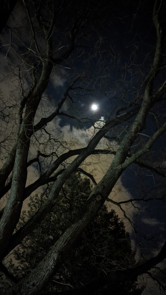 Spooky Moon